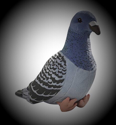 cuddly pigeon